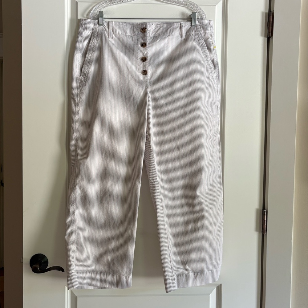 Talbots Button Fly Striped Pants - image 1
